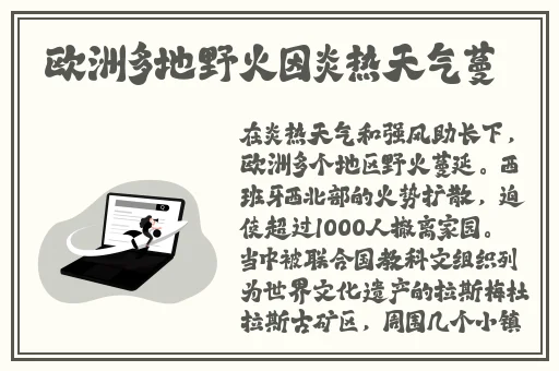岳的乱系列62部分